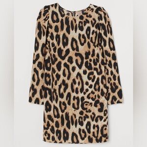 H+M Puffed-sleeve Dress